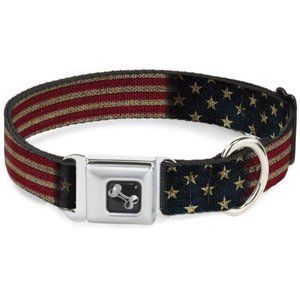 Buckle Stretch Seatbelt Dog Collar  Sz M